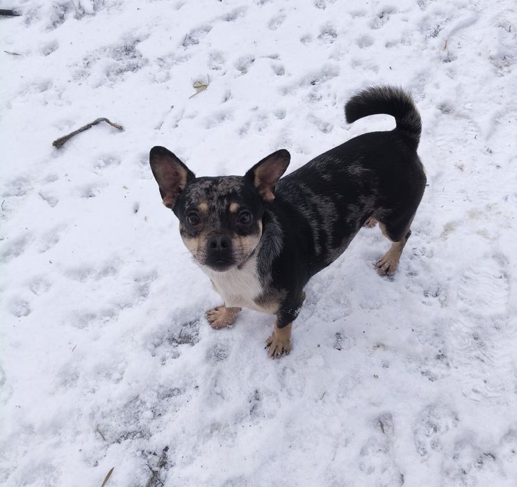 Мальчик метис подросток