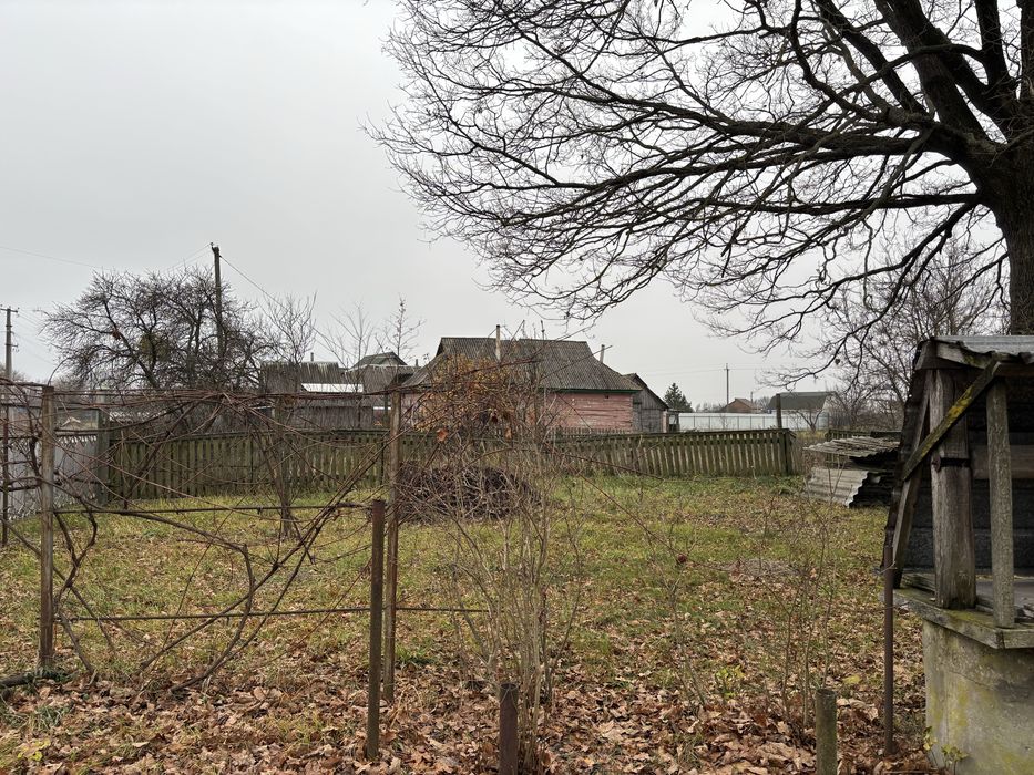 Продається будинок з землею село Ніжиловичі