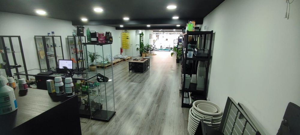 Oportunidade de Negócio / Trespasse de loja no centro de Lisboa