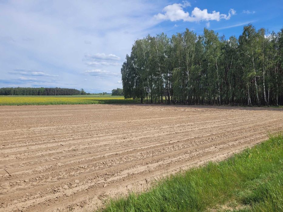 Działka Budowlana  1885 m² , ZIEMIA ROLNA,Las- 3,45ha , - Vista 3