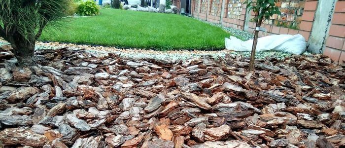 Соснова кора для вашого саду