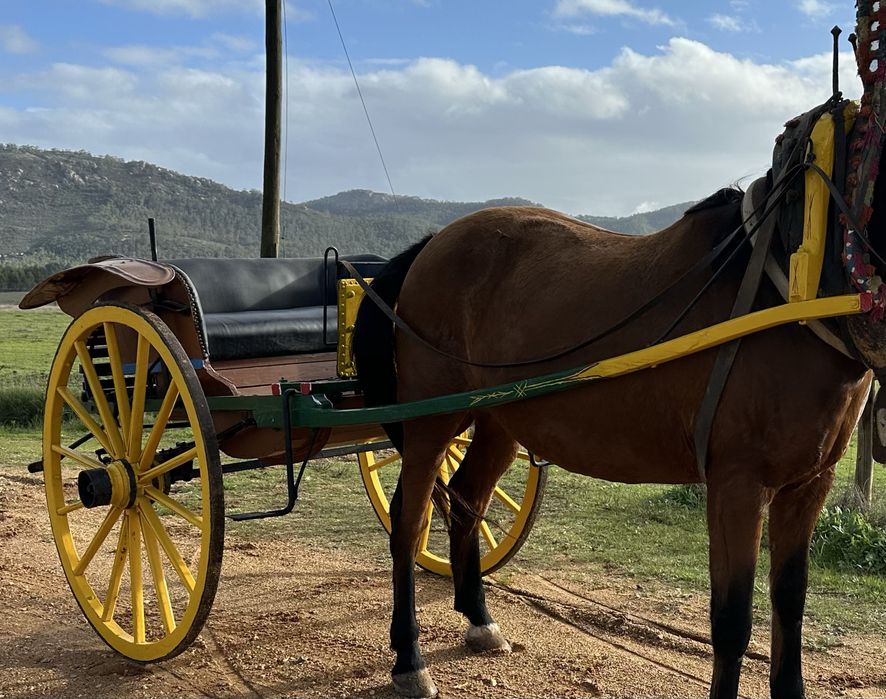Charrete tradicional alentejana