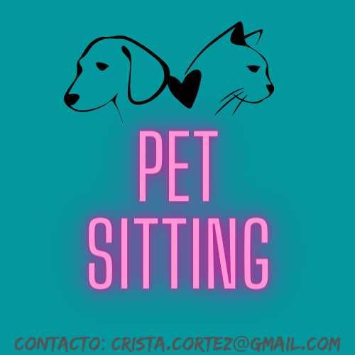 Animais, Pet Sitting, Gatos e Cães Dog Walking