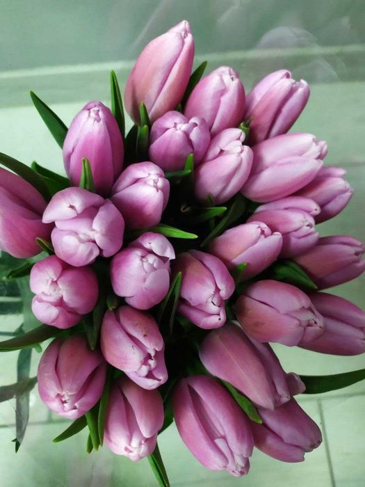 Букети квітів на будь-яке свято