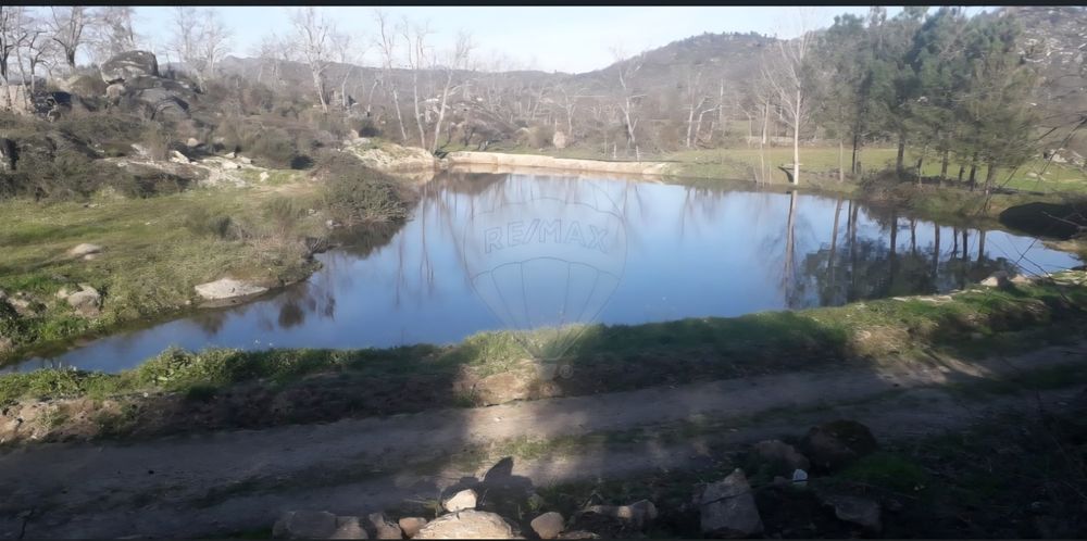 Oportunidade Única Quinta de Sonho com 14,5 Hectares na Histórica Vila