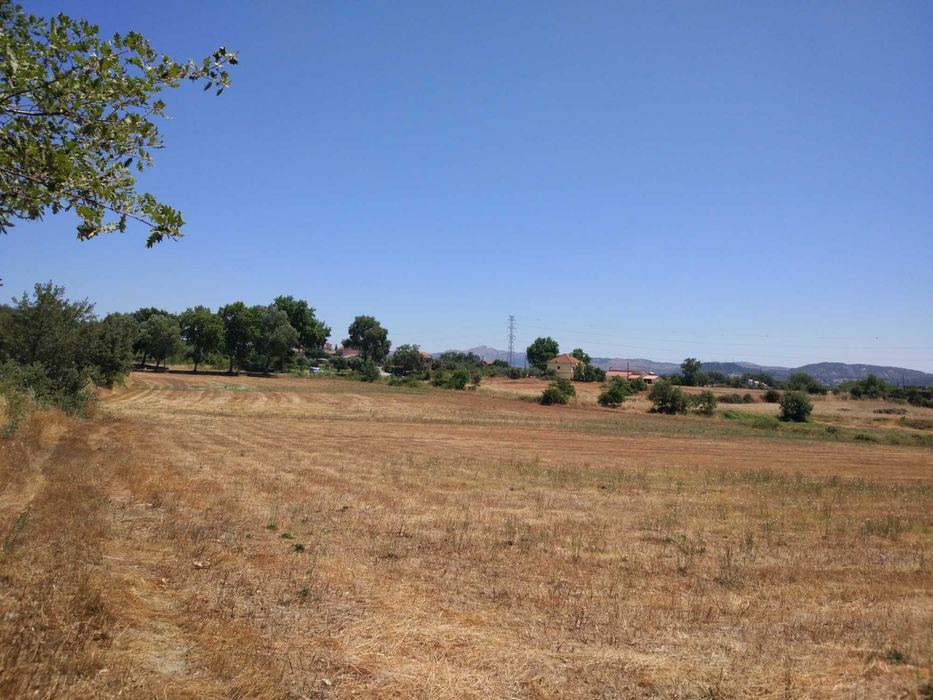 Quinta em terreno rústico 5 ha Belmonte Gare