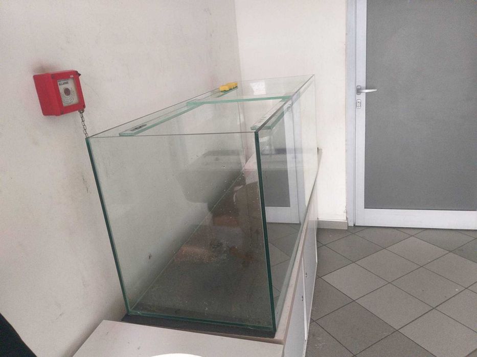 Akwarium z pokrywą