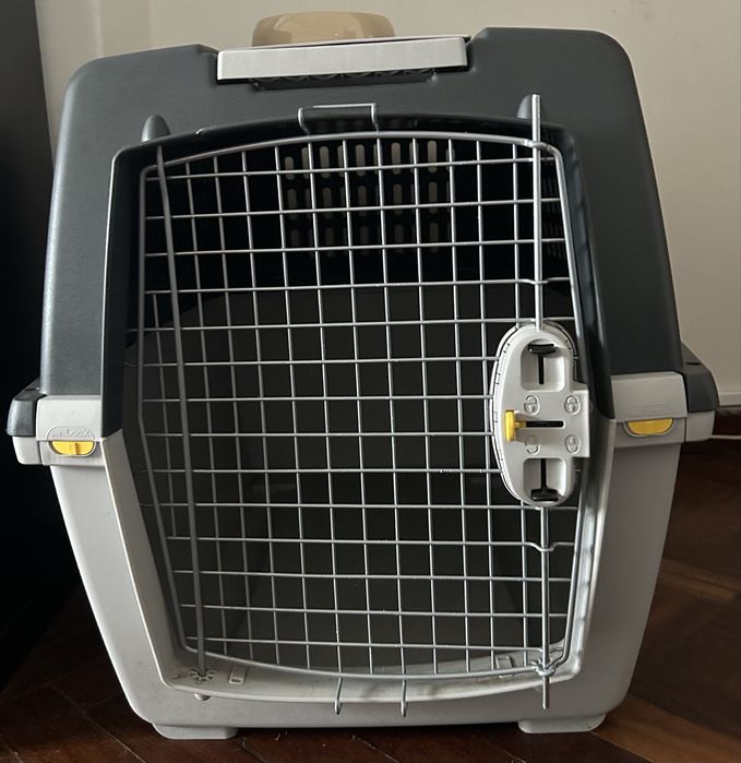 Transportadore cão IATA