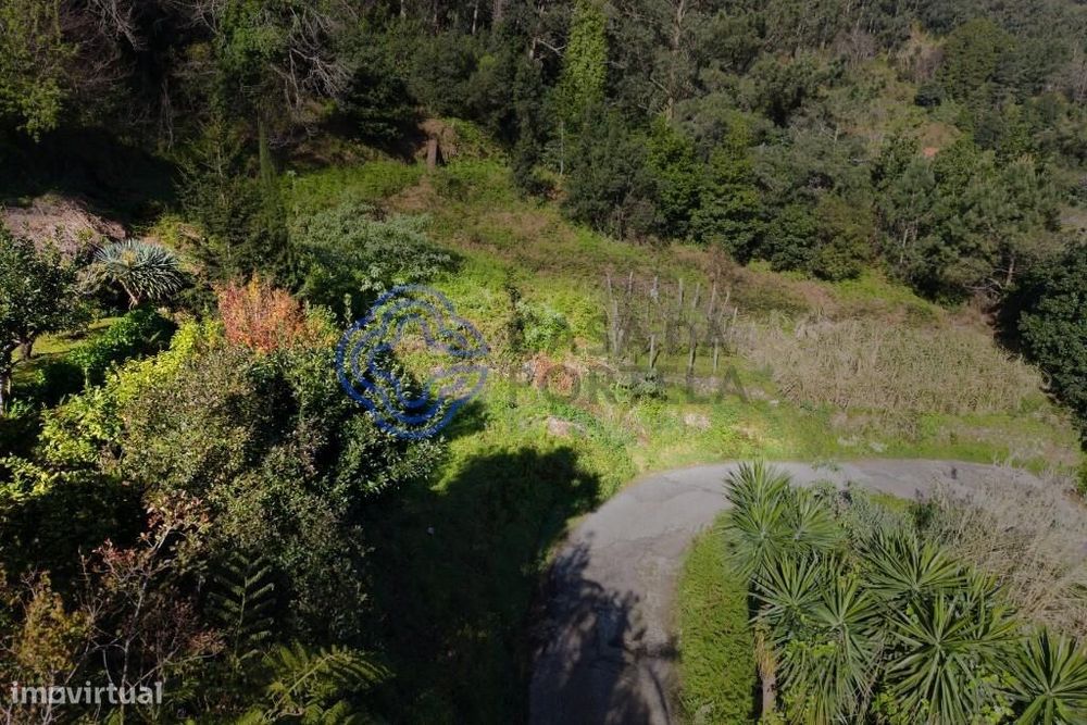 Terreno Rústico em Espaço Florestal Misto — Achada do Loural, São Vice