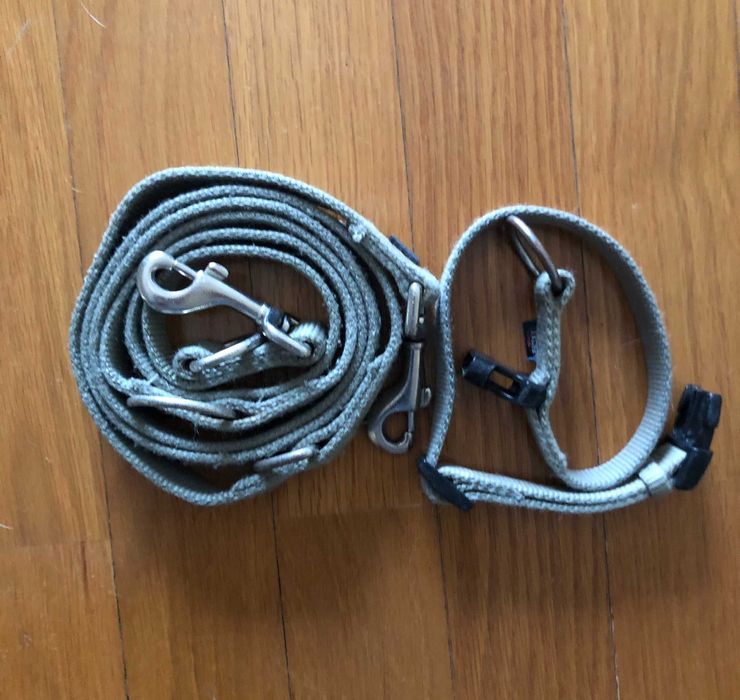 Trela e Coleira para cão M / L / XL