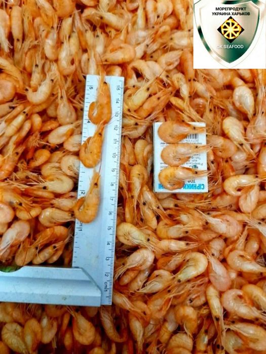 Креветки черноморские, атлантические, индийские,тихоокеанские