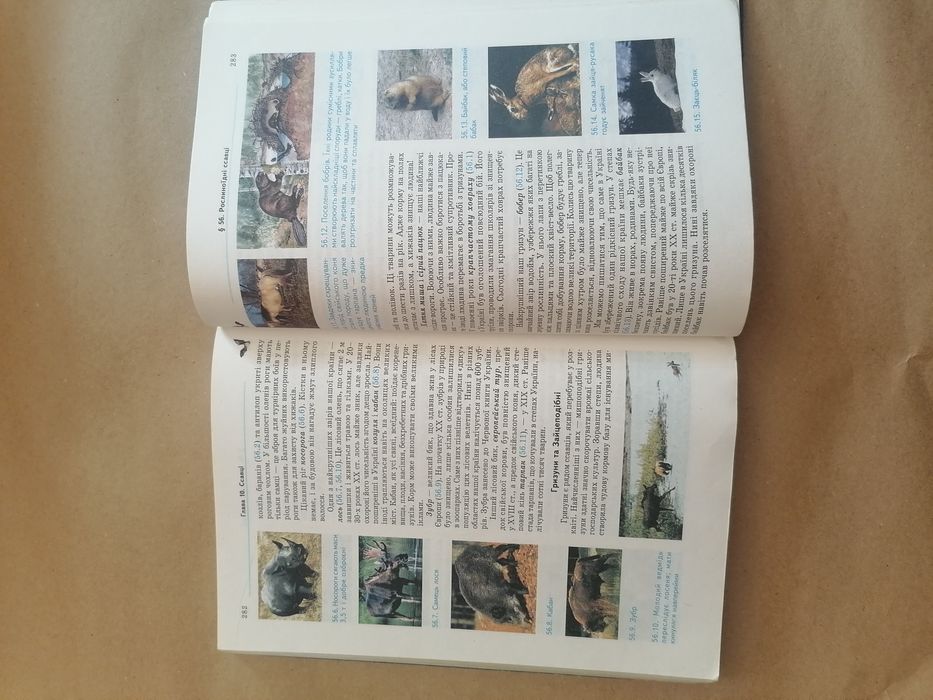 Біологія 7 клас Шабанов Д.А Шапаренко С.О.