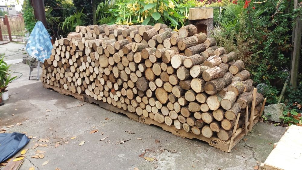 Producent Plastrów drewna 3-50cm sprzedaż brzoza plastry dąb