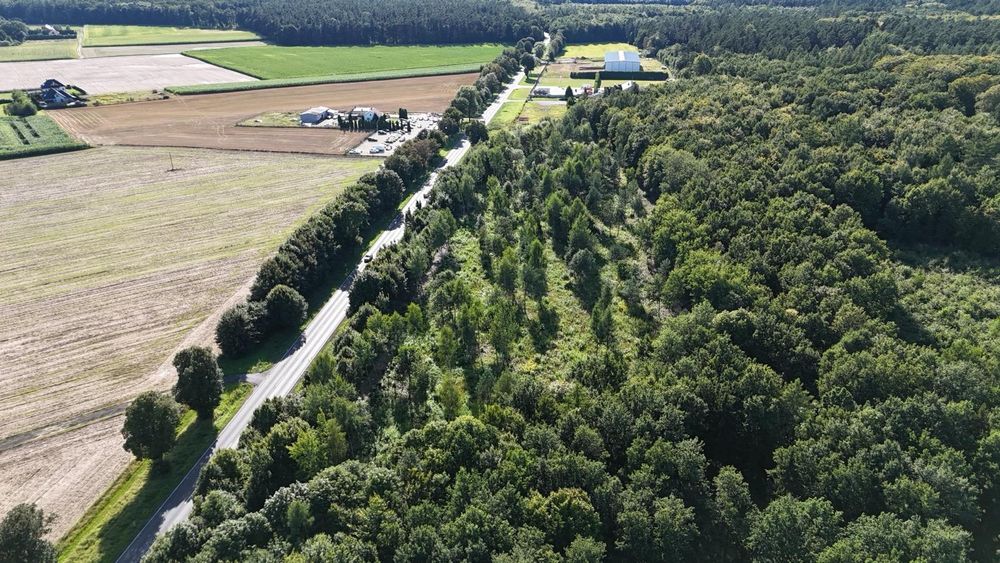 Działka inwestycyjna z MPZP przy DK15 – Szabda, gmina Brodnica - Widok 3