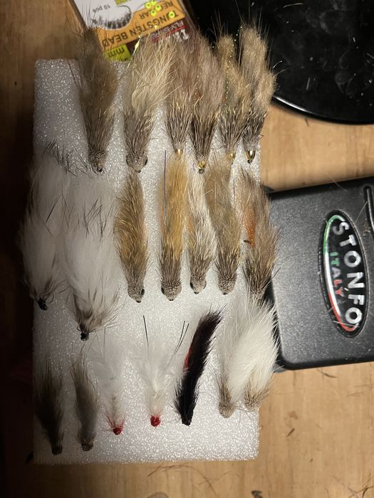 Muchy pstragowe/lipieniowe