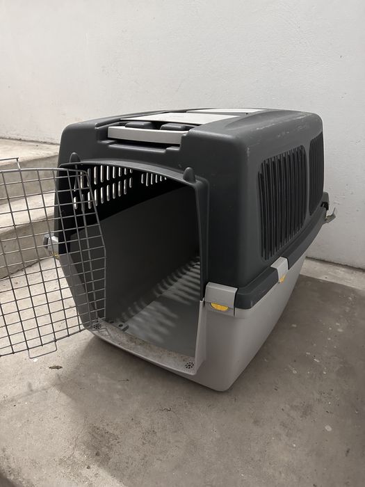 Caixa transporte Animais