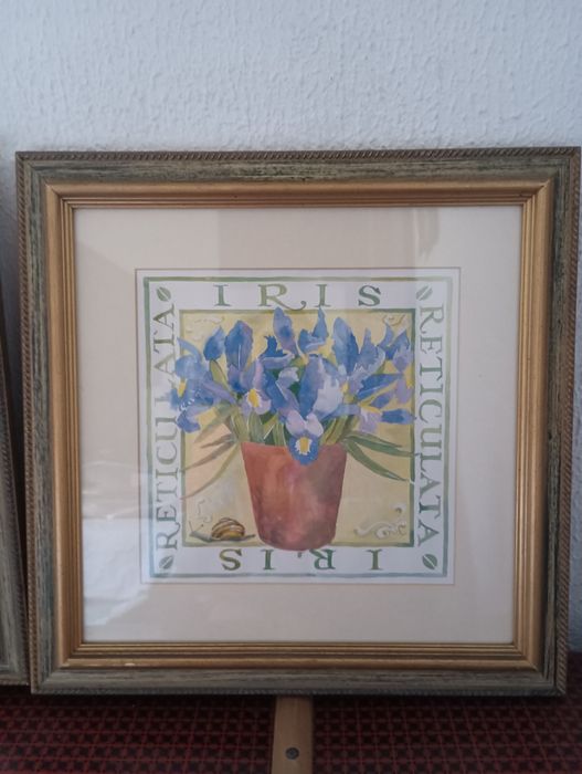 Dois quadros 40*4064740664440067122