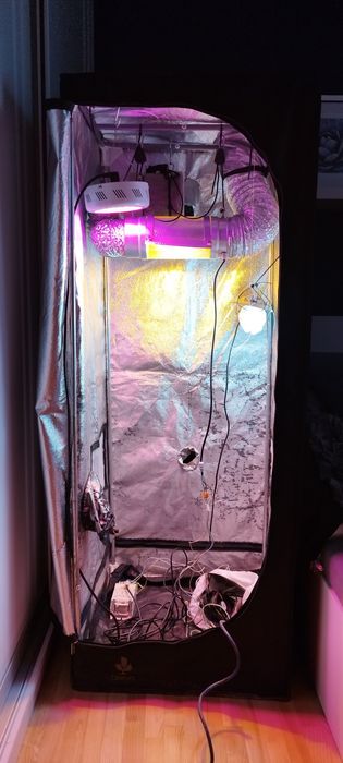 Growbox zestaw 60/60/160