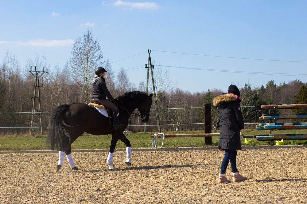 Jazda konna.Treningi sportowe.