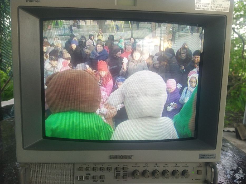 Видеомонитор  Sony PVM - 14 M 2 MDE