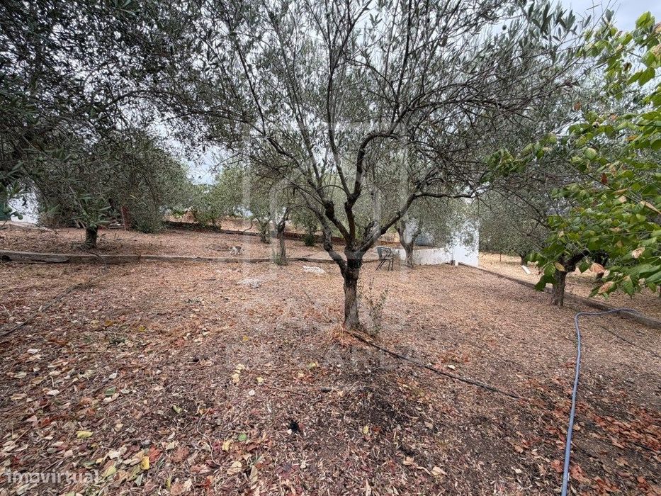 Propriedade T3 com Anexo T1+1 completamente renovada e jardim com 1...