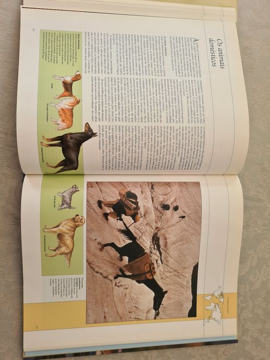 Livro O Mundo Vivo