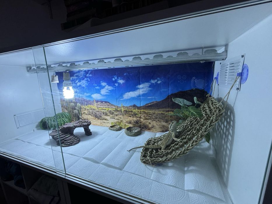 Terrarios por encomenda