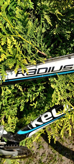 Rower Kellys Radius