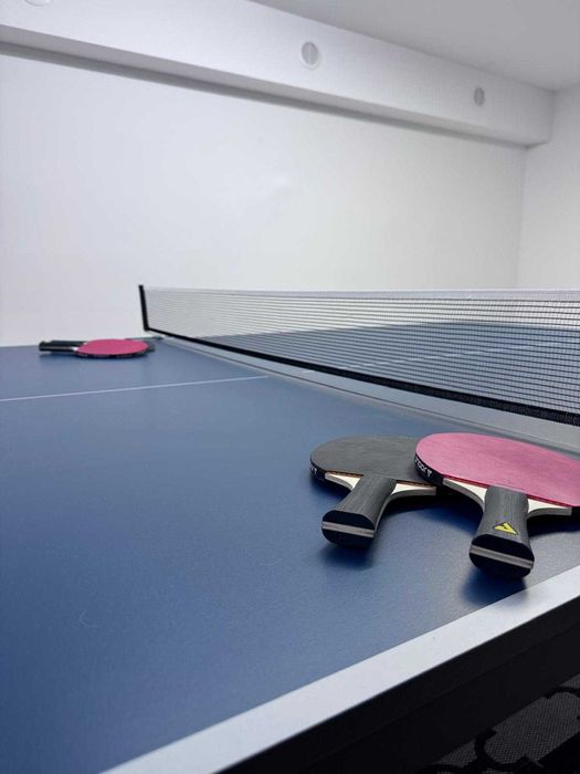 Stół do ping ponga