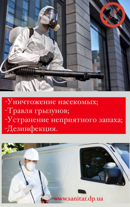 Уничтожение тараканов. Травля тараканов и других вредителей Днепр