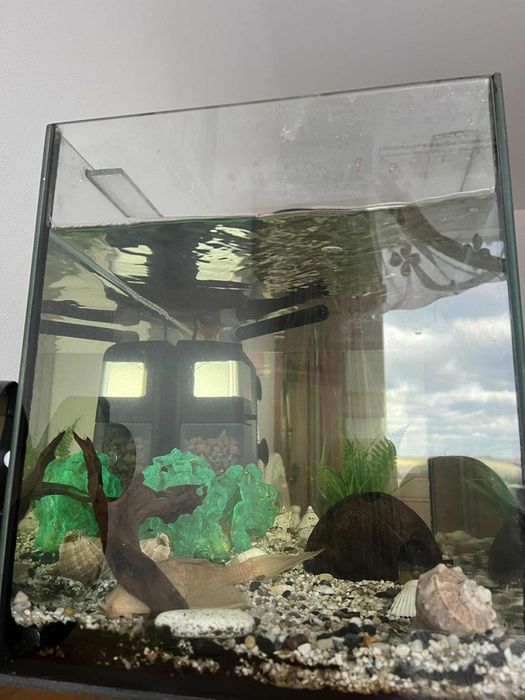 Akwarium 63 litrowe