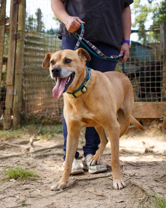 Para adoção, Miguel