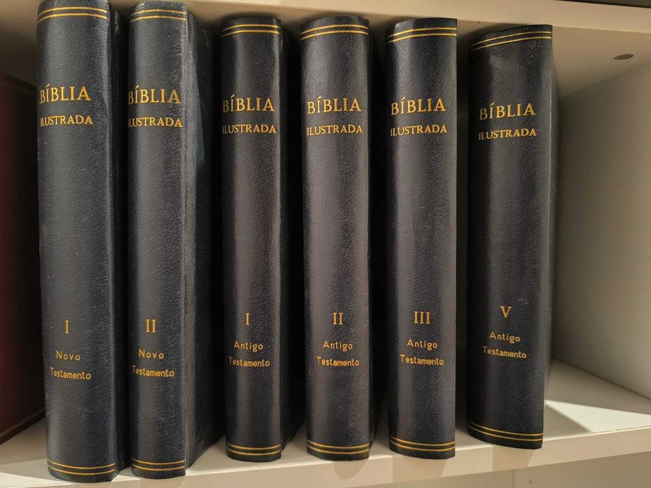 Livro "Bíblia Ilustrada" – 6 de 7 Volumes