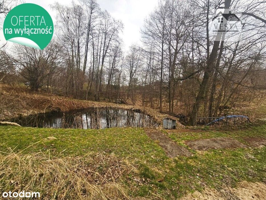 Wyjątkowa działka z potencjałem blisko Poniatowej - Widok 5