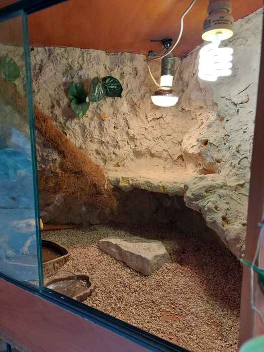 Terrarium narożne 70×70×100