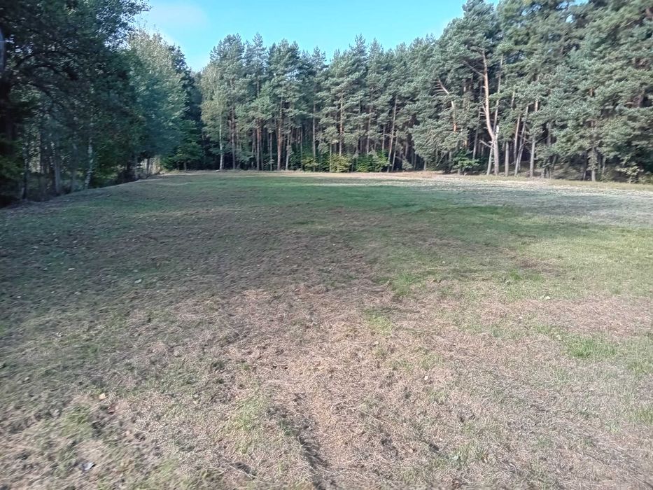 Działki budowlane blisko lasu spokojna okolica