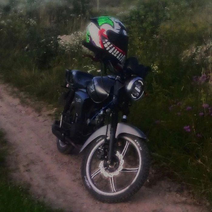 В продажі альфа мустанг 125