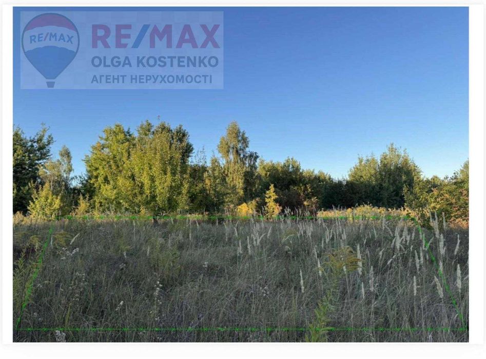 Земля, де ідея швидше стає грошима