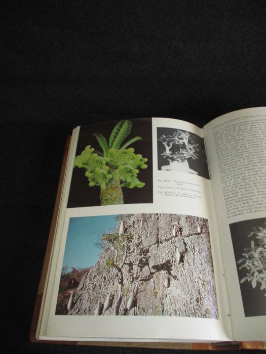 Livros Cactus and Succulent Journal Anos 70