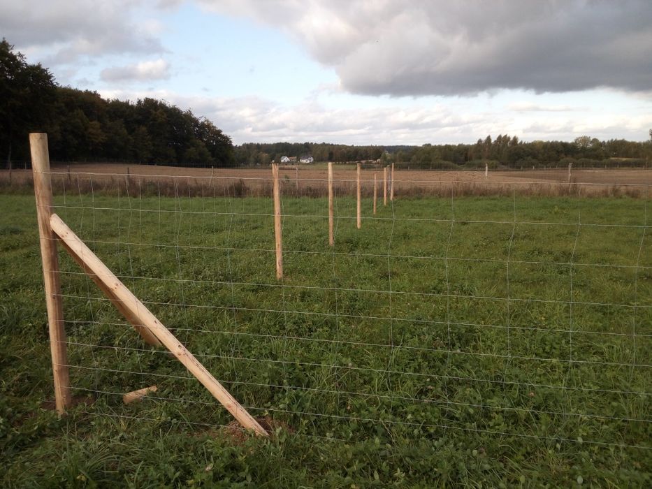 Ogrodzenie Tymczasowe Kwidzyn siatka leśna już 16 zł. za mb