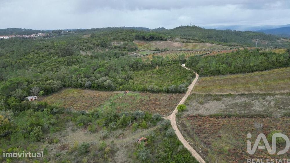Terreno Agrícola em Condeixa-a-Velha e Condeixa-a-Nova