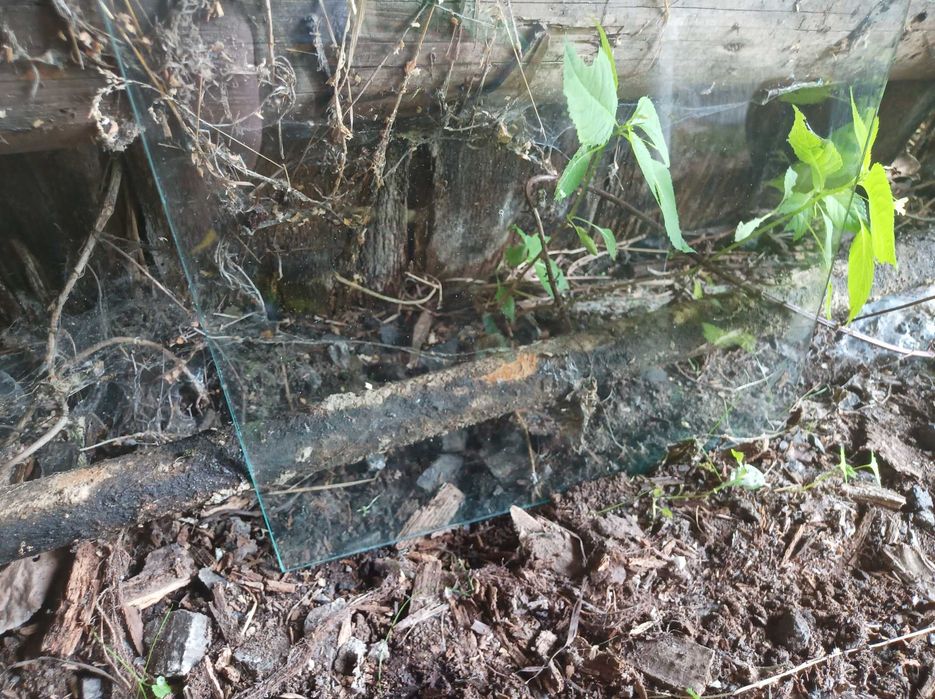 Szyby bez ram małe i duże gruba szyba