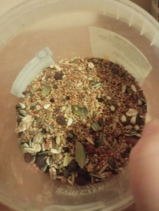 Pokarm dla papug nimf