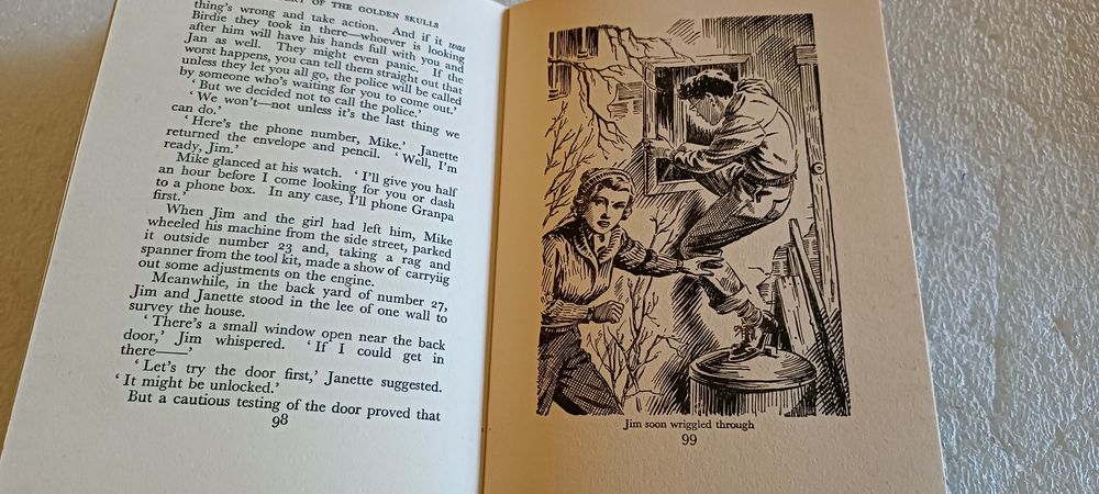 Antigo livro The Mystery of the Golden Skulls
