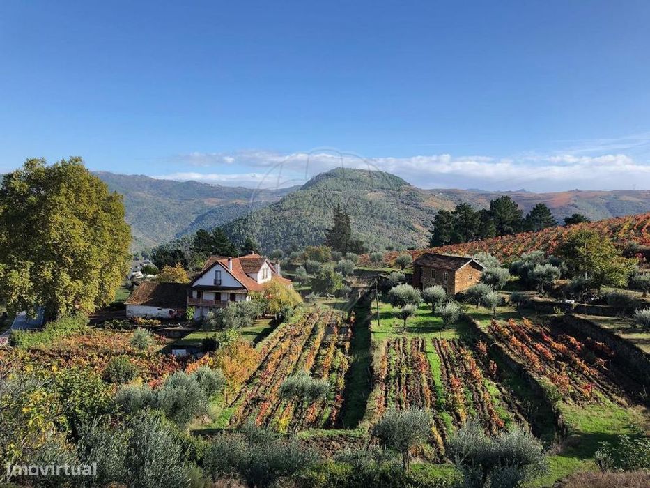 Terreno  para venda