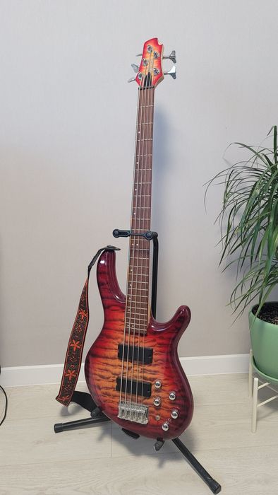Cort action v plus dlx cherry red sunburst бас гітара 5 струн активна