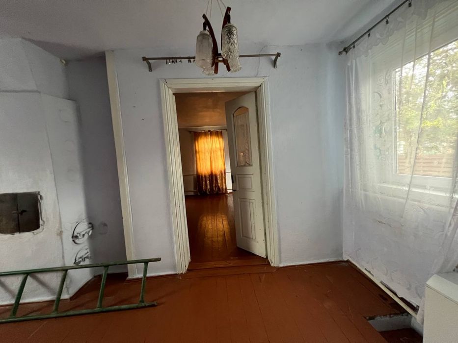 Житловий будиночок на великій ділянці