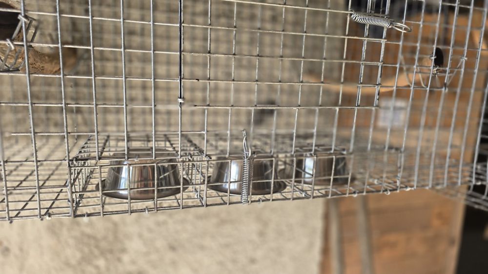 Gaiolas  fortes novas