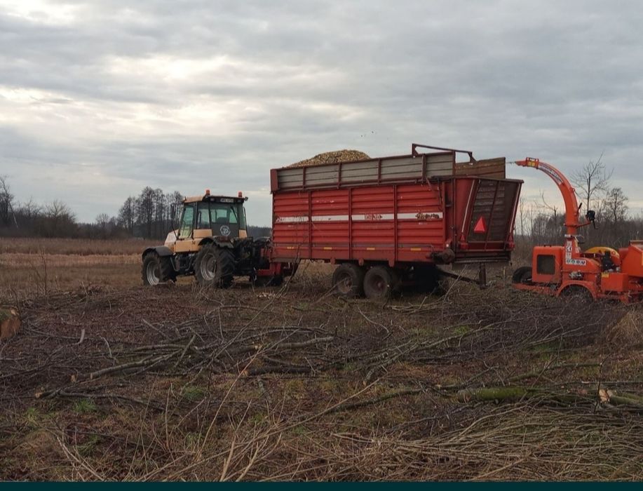 Wycinka drzew za drewno