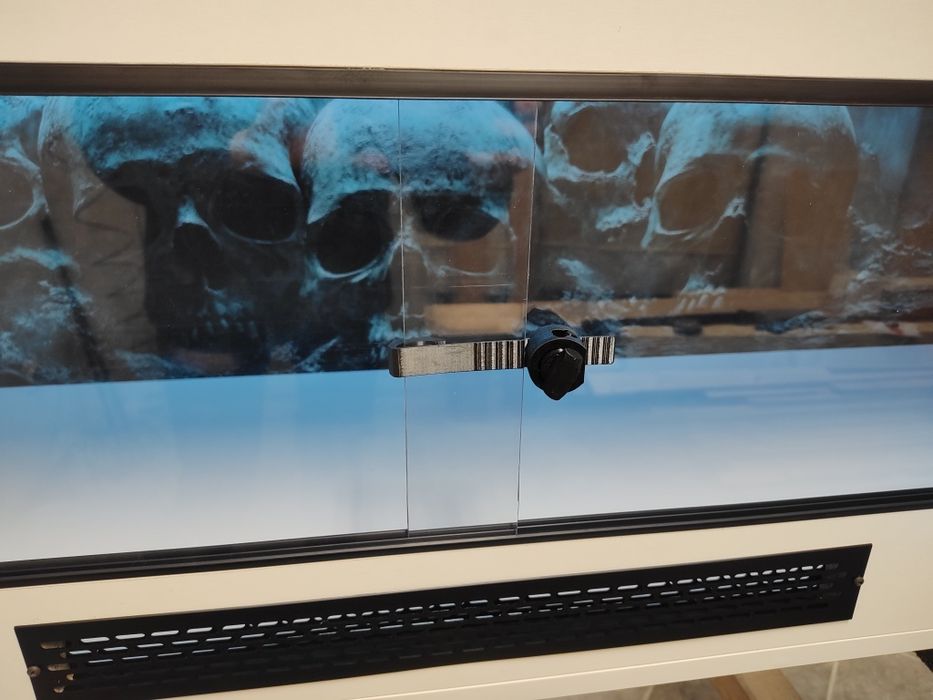 terrarium + LED pyton siatkowy teju agama